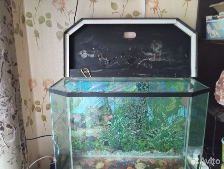 Аквариум 100 литров