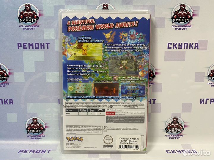 Pokemon Mystery Dungeon Rescue Team DX Nintendo