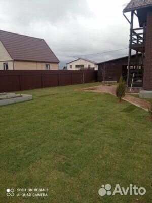 Озеленение территории