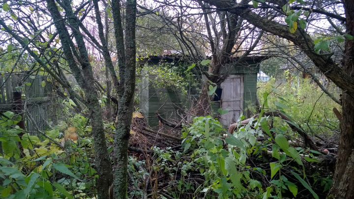 Участок 8 сот. (СНТ, ДНП)