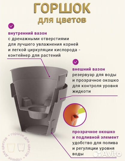 Кротон, Кодиум Вилма