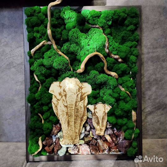 Картины из стабилизированного мха