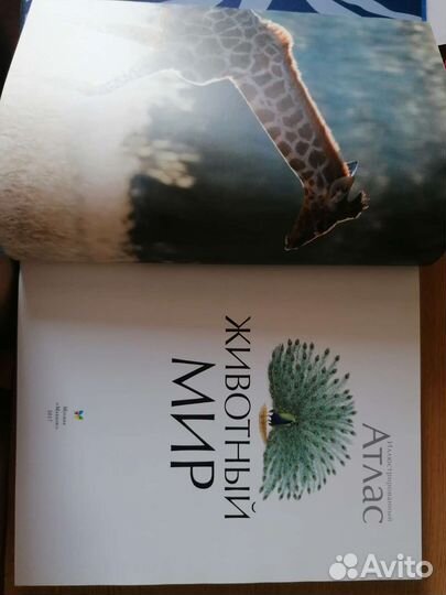 Иллюстрированный атлас Животный мир