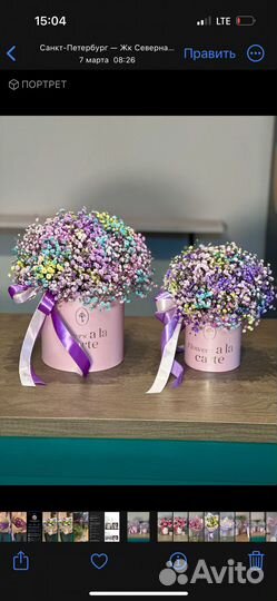 Коробка с радужной гипсофилой