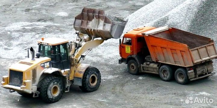 Отсев