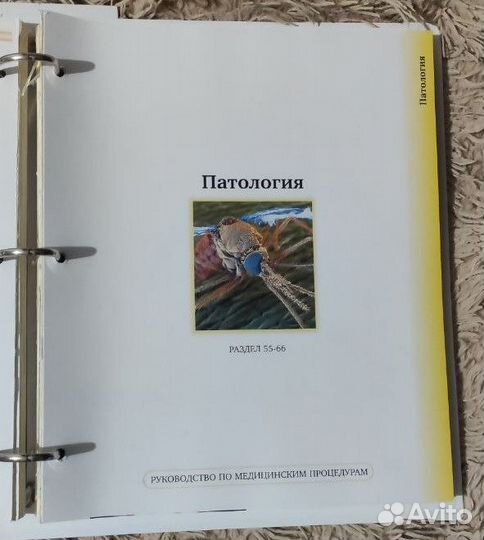 Тело человека. Снаружи и внутри