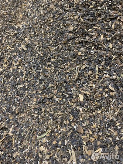 Зерно смеси