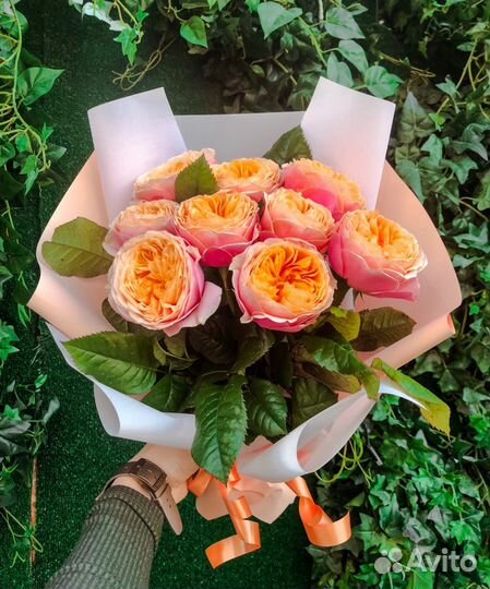 Розы пионовидные Невероятная красота цветов