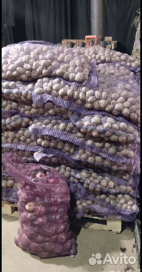 Картофель С доставкой для посадки