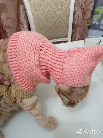 Одежда для животных