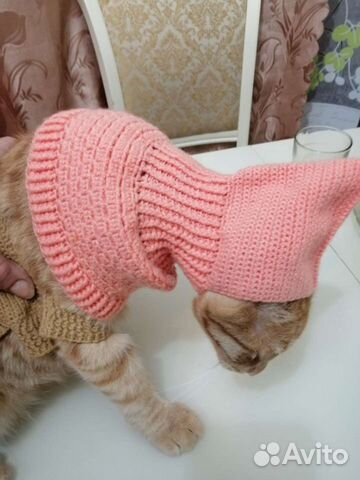 Одежда для животных