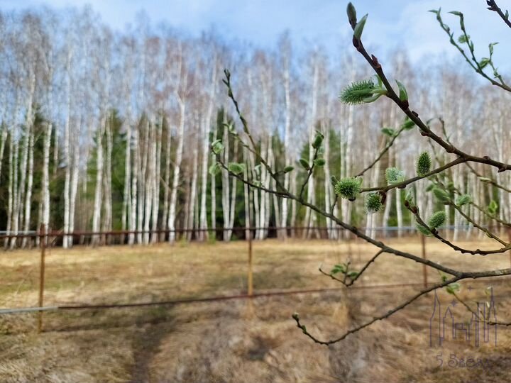 Участок 5 сот. (ИЖС)