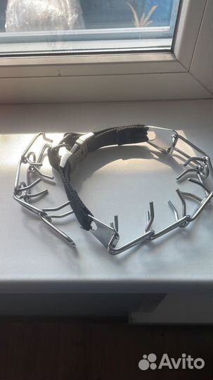 Строгий ошейник