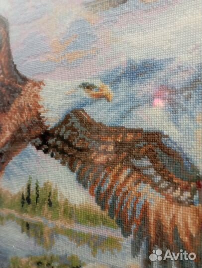 Картина Орел