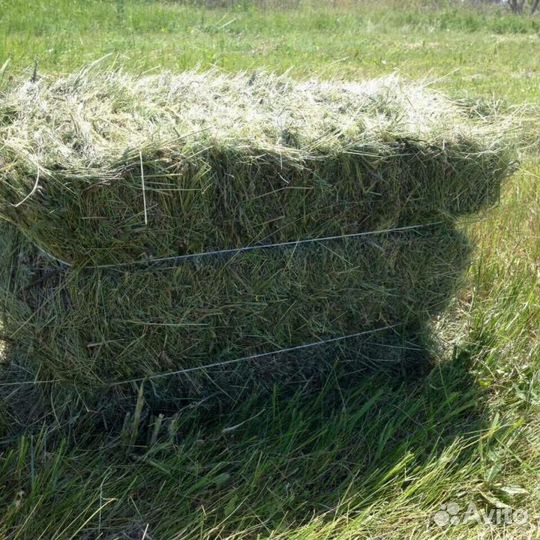 Сено в тюках