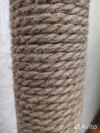 Когтеточка