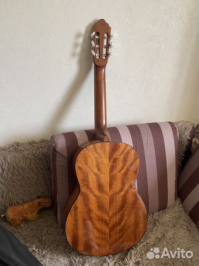 Акустическая гитара cort ac100 sg