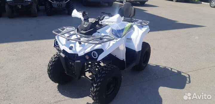 Квадроцикл shark 200