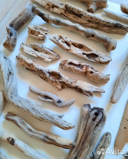 Дрифтвуд Чёрного моря (набор)