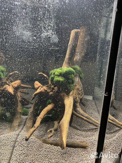 Аквариум 25 л