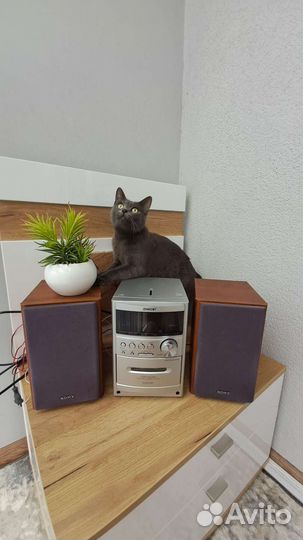 Музыкальный центр Sony