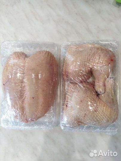 Мясо домашней курицы, индейки, утки