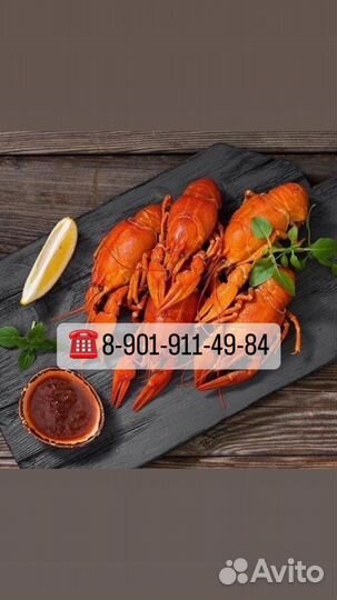 Раки Живые и Вареные Доставка