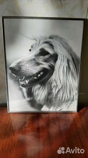 Картина, художественная фотография, чеканка