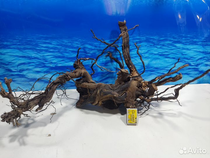 Корень виноградный коряга