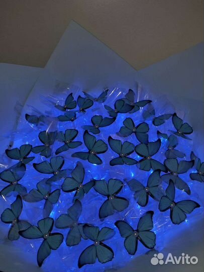 Букет из бабочек