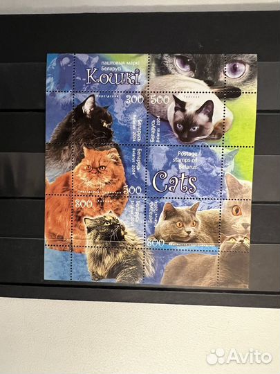 2004 г. Беларусь. Фауна