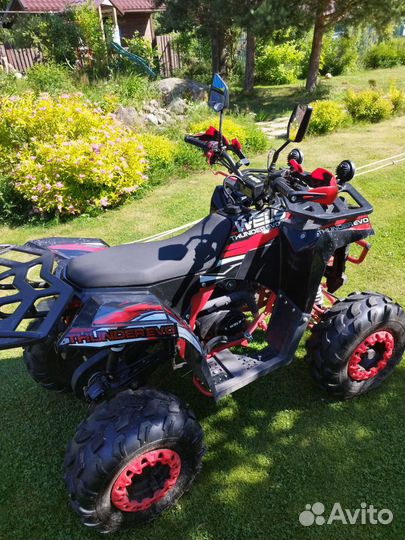 Квадроцикл Thunder EVO wels