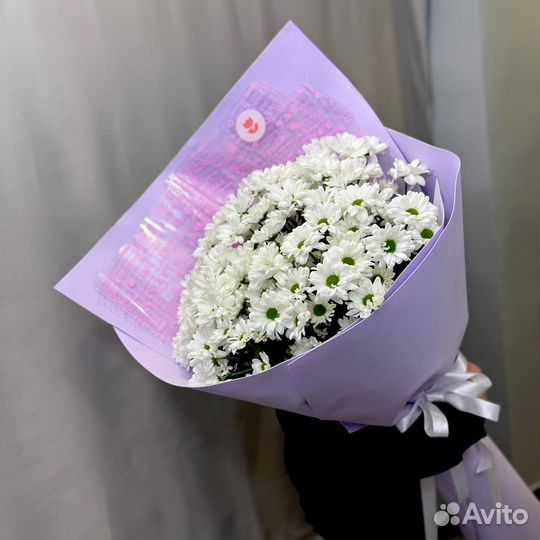 Букет Гигант из 25 Хризантем