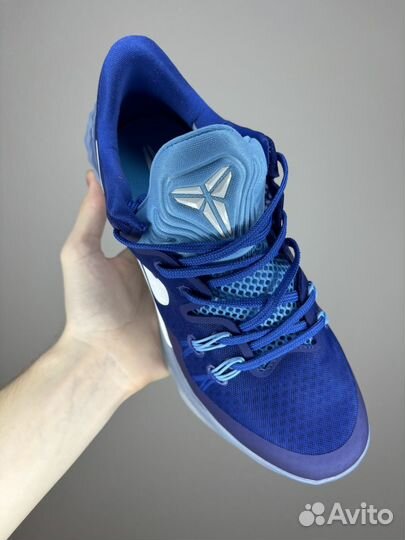 Баскетбольные кроссовки Nike Venomenon 5