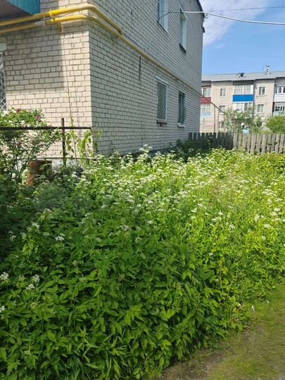 2-к. квартира, 51 м², 1/2 эт.