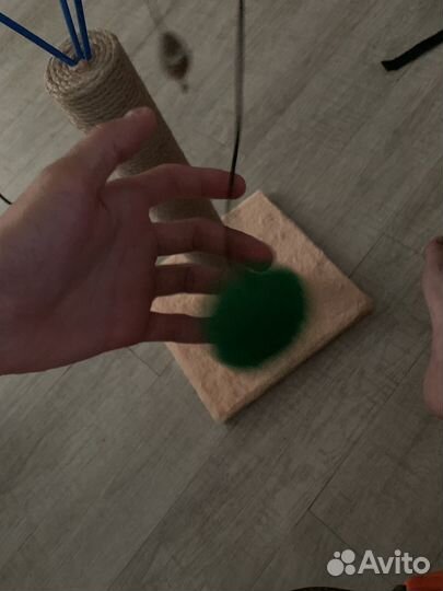 Когтеточка для кошек