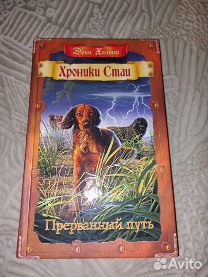 Хроники стаи. прерванный путь