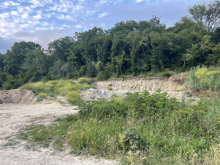 Участок 6,2 сот. (ИЖС)