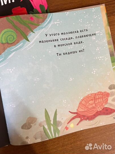 Книги с фонариком