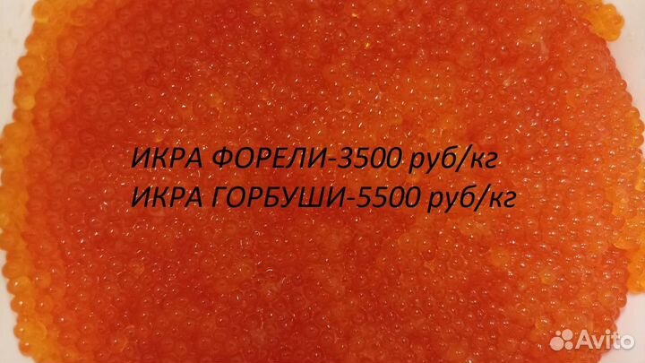 Камчатский краб, креветки, семга с/с, морепродукты