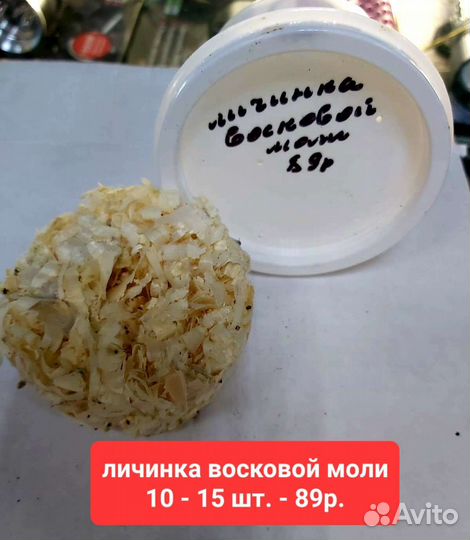 Мотыль-Опарыш-Червь