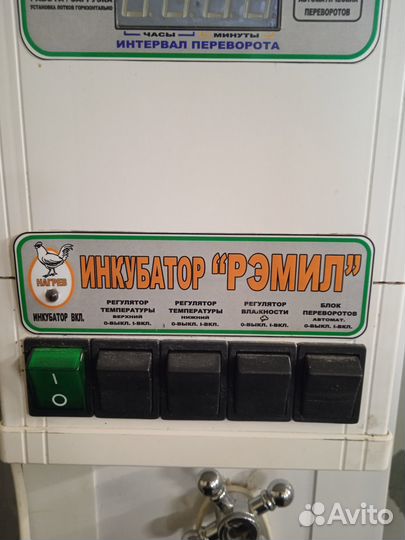 Инкубатор для яиц