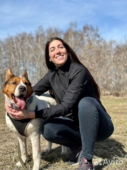 Необычайно красивая с характером