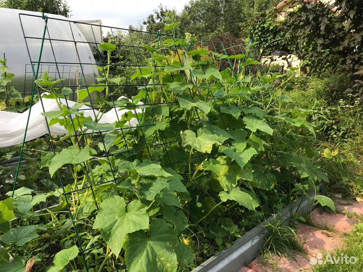 Шпалера для огурцов и вьющихся растений 120х80 см