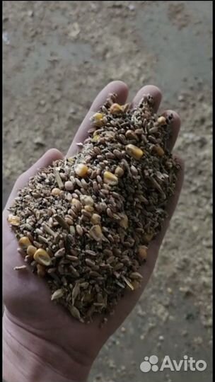 Зерносмесь