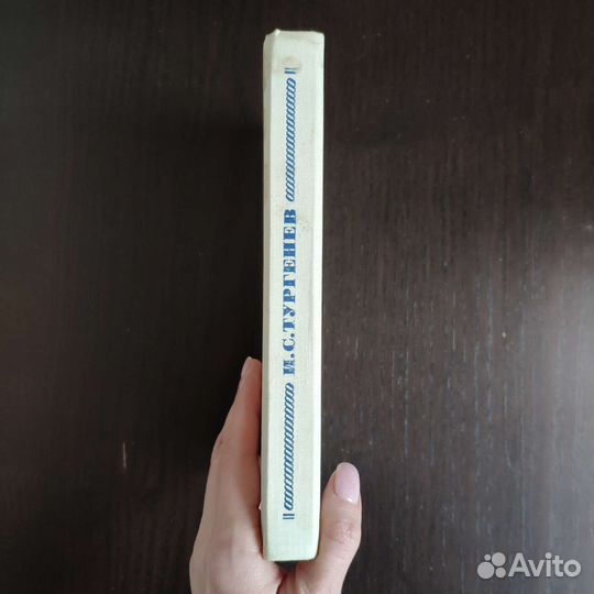 Тургенев И.С. Романы