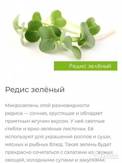 Микрозелень