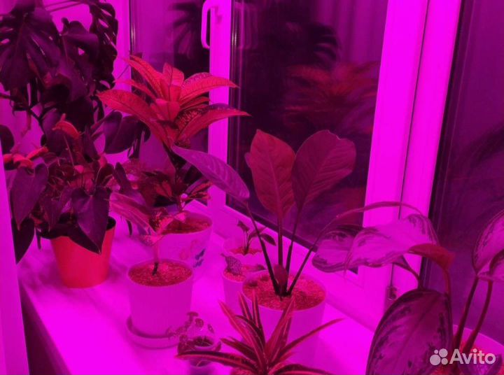 Фитолампа для растений, рассады 570 мм, 870 мм