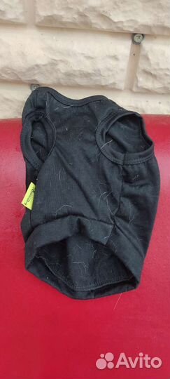 Одежда для собак