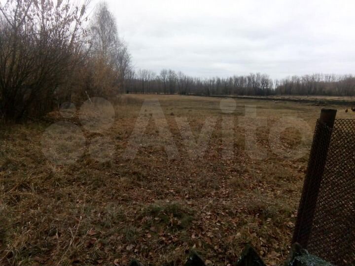 Дом 80 м² на участке 50 сот.